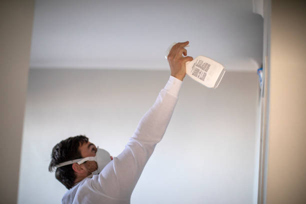Best Emergency Mold Remediation in New Milford, NJ
